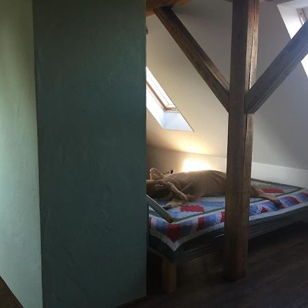 Ferienwohnung Schulze Freital Exterior foto