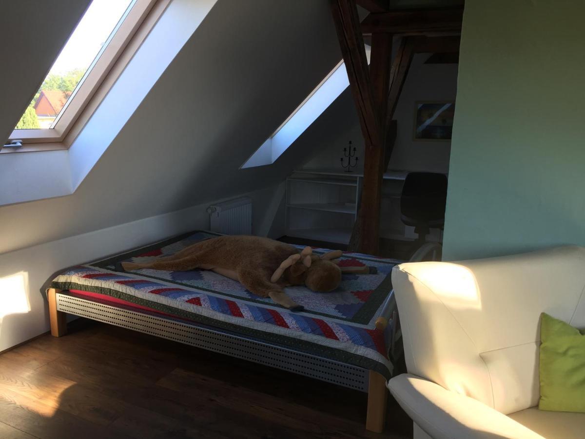 Ferienwohnung Schulze Freital Exterior foto